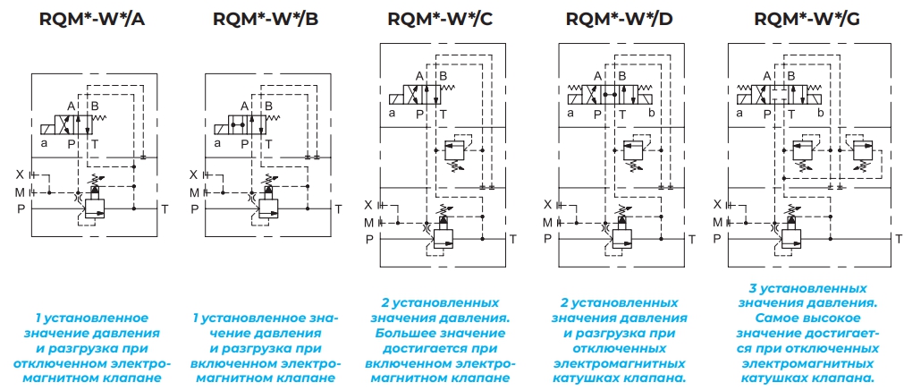 Варианты исполнения RQM*-W