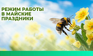 Майские каникулы ПНЕВМАКС