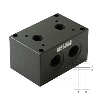 P4D-P/21_EC5434P - Плита для батарейного монтажа, СЕТОР 5; Р и Т (G1/2"), A-B (G3/4") сзади