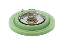 13430020 - Диафрагма (FPM) с плунжером для клапана E108FV25