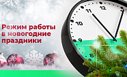 Новогодние каникулы ПНЕВМАКС